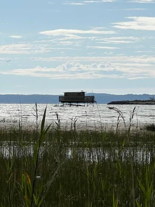 Agreable Maison Landaise Proche Du Lac Санґіне Екстер'єр фото